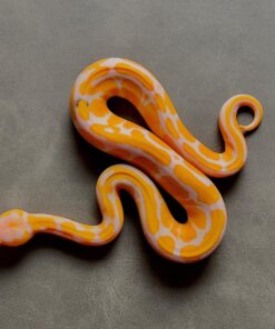 Red Stripe Lavender Albino Het Piebald Ball Python