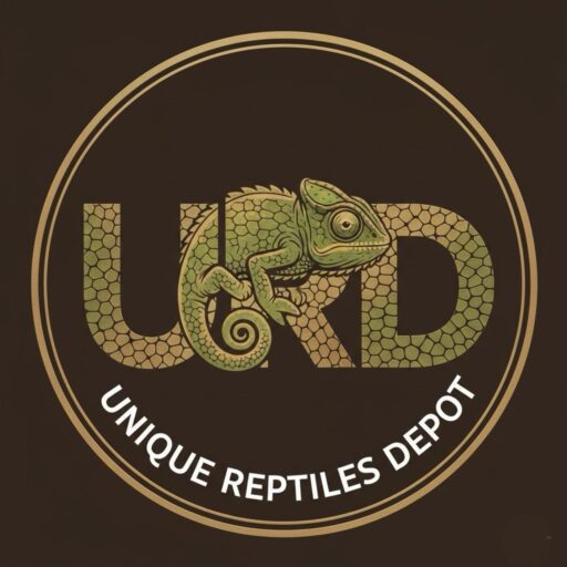 uniquereptilesdepot.com